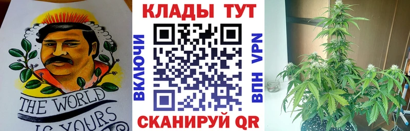 Купить закладку КОКАИН  Мефедрон  Героин  Бошки Шишки  ГАШИШ  Выкса