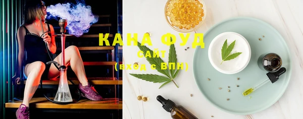 хмурый Инта
