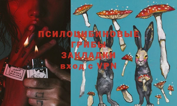 хмурый Инта